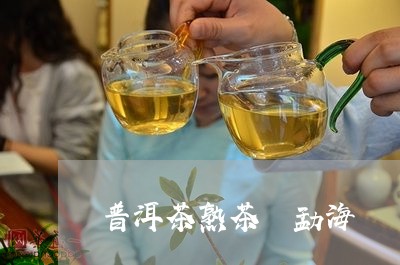 普洱茶熟茶 勐海/2023031761592